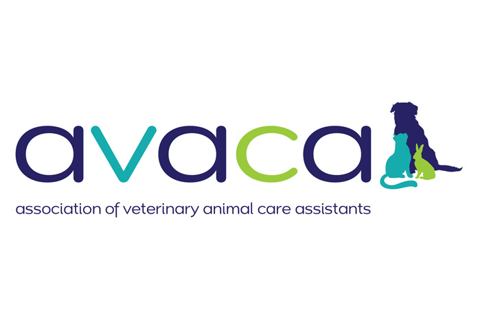 New census of Veterinary Care Assistants - VetSurgeon News - VetSurgeon ...