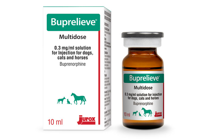 New Buprenorphine Formulation For Reduced Injection Site Pain Vetsurgeon News Vetsurgeon Vetsurgeon Org