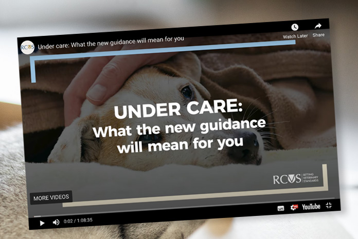 RCVS publishes 'under care' webinar and case studies - VetSurgeon News -   