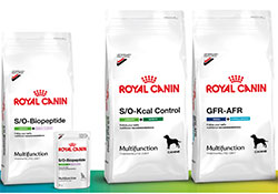 Royal canin hot sale neuro diet