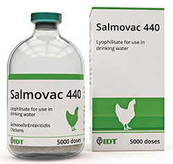 Hysolv Launches New Salmonella Vaccine For Poultry Vetsurgeon News Vetsurgeon Vetsurgeon Org