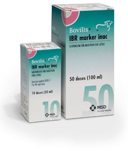 MSD Animal Health extends IBR control options with launch of inactivated marker vaccine 