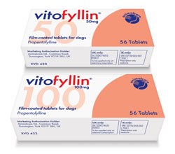 Animalcare Group has announced the UK and Ireland launch of Vitofyllin, a central nervous system stimulant for older dogs suffering from dullness, poor demeanour and unwillingness to exercise.