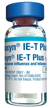 Elanco has announced the results of a challenge study which the company says demonstrates the ability of Duvaxyn IE-T Plus equine influenza vaccine to cross protect against A/equi-2/Richmond/1/07