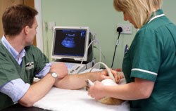 The DP-50 ultrasound scanner in use at Lomond Hills Veterinary Centre