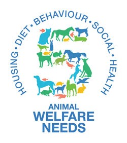 A coalition of veterinary organisations including the BVA, BVNA, Blue Cross, BSAVA, BVZS, PDSA and RSPCA has launched a joint campaign to help pet owners understand their pets' five welfare needs.  