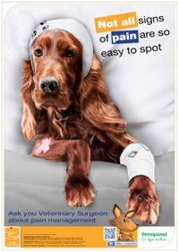 Vetoquinol has published a waiting room poster which highlights canine pain, to support Cimalgex.