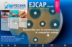 The Federation of European Companion Animal Veterinary Associations (FECAVA) has announced the online publication of the Winter edition of its journal, which leads on responsible use of antibiotics and is now available free to all members of the veterinary profession.