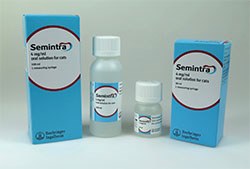 Boehringer Ingelheim has launched a 100ml bottle size for Semintra to help facilitate long-term compliance and convenience for owners of cats with chronic kidney disease (CKD).