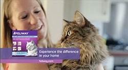 Ceva Animal Health has announced that its biggest ever TV advertising campaign, designed to highlight the benefits of using its veterinary behaviour products, Adaptil and Feliway, will begin on Christmas Day. 