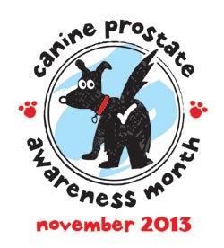 Virbac has announced that Canine Prostate Awareness Month, its initiative to highlight the prevalence of Benign Prostatic Hyperplasia (BPH), will be running again in November, and is urging practices to join in.