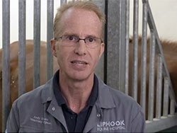 Boehringer Academy has joined forces with Andy Durham from Liphook Equine Hospital to launch a series of short webinars covering recent updates in laminitis laboratory tests and common FAQs on the management of PPID in horses.