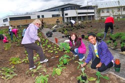 Beechgrove Garden transforms the outside space at the Dick Vet School