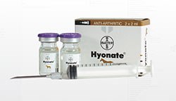 Merial Animal Health has announced that it has purchased the the anti-inflammatory treatment for lameness in horses, Hyonate® (sodium hyaluronate).