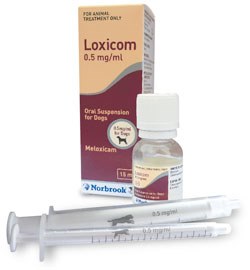 Loxicom oral suspension for dogs from Norbrook