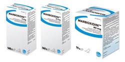 Ceva Animal Health has launched Marboxidin chewable tablets for dogs and cats for the treatment of micro-organisms susceptible to marbofloxacin, including skin and soft tissue infections (in cats and dogs), respiratory tract infections (in dogs and cats) and urinary tract infections (in dogs).