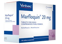 Virbac has launched Marfloquin, a marbofloxacin-based antibiotic indicated for the treatment of multiple infectious diseases in cats and dogs. 