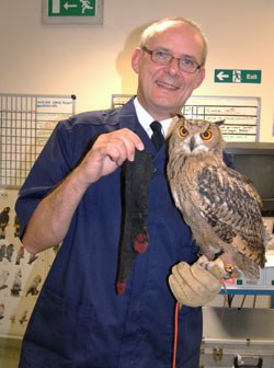 VetSurgeon member Neil Forbes FRCVS, Specialist in Avian Medicine at Vets Now Referrals, has been dealing with a rather interesting case: an owl that swallowed a sock. 