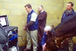 Richard Hepburn MRCVS has launched what is thought to be the world's first equine gastric ulcer study, designed to improve understanding and knowledge of ulceration in performance horses.