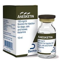 Dechra Veterinary Products has launched Anesketin, an anaesthetic licensed for cats, dogs and horses. 