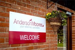 Anderson Moores Veterinary Specialists has announced that it is to start work building a new treatment centre for cats with hyperthyroidism.