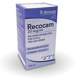 Bimeda has launched Recocam, a 20mg/ml meloxicam preparation licensed for use as a single injection course in cattle, horses and pigs. 