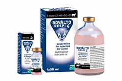 Merial Animal Health has launched its new Bovalto Respi respiratory disease vaccines in Europe.