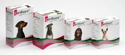 Eurovet Animal Health is offering veterinary surgeons visiting the London Vet Show a free trial of Cardisure to use in newly diagnosed patients*.