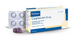 Virbac has announced the launch of Carprox Vet, a carprofen-based NSAID indicated for the alleviation of post-operative pain and inflammation following orthopaedic and soft tissue surgery in dogs and cats and for the treatment of chronic pain and inflammation in dogs.