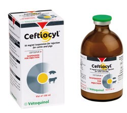 Vetoquinol Launches Ceftiofur Injection For Cattle And Pigs Vetsurgeon News Vetsurgeon Vetsurgeon Org