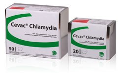 Cevac Chlamydia