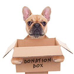 84% of veterinary surgeons give up time to work with animal charities and shelters.