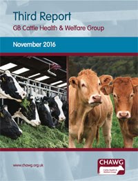 The latest state-of-the-industry report examining the health and welfare of cattle in Great Britain has identified significant progress across key areas of mastitis, lameness and longevity, and for the first time looks in depth at the issues facing the dairy and beef sectors around antimicrobial resistance (AMR).