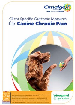 Vetoquinol has launched a pain monitoring system along similar lines to those used in humans, which can be used by vets and owners to measure pain over time and assess different treatment strategies in dogs.   