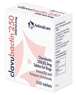 Animalcare has announced the launch of Clavubactin (amoxicillin/clavulanate)