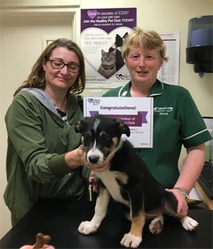 CVS has announced that its Healthy Pet Club loyalty scheme, already the largest of its type in the UK, has reached the 300,000-member milestone.  