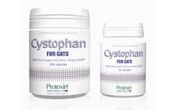 Protexin Veterinary has launched Cystophan, a new product to aid in the management of Feline Idiopathic Cystitis 