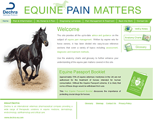 Dechra equine pain management website