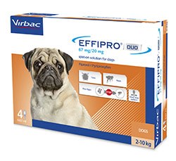 Virbac has announced the launch of Effipro Duo Spot-on solution for cats and dogs, a POM-V product offering protection against ticks and fleas and from household flea infestations. 