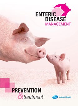 Enteric disease management