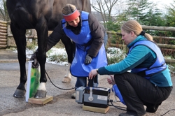 Equiray mobile equine x-ray service 