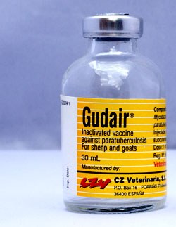 Virbac has been granted a Limited Marketing Authorisation in the UK for its Gudair vaccine, indicated for the active immunisation of sheep and goats against Mycobacterium avium subspecies paratuberculosis (Map).  