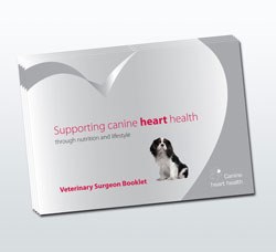 The Heart Health Panel - a group of expert veterinary surgeons, cardiologists and nutritionists set up by Boehringher Ingelheim - has launched a set of guidelines on the management of canine cardiac health through nutrition and lifestyle changes.