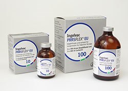 Ingelvac PRRS EU vaccine