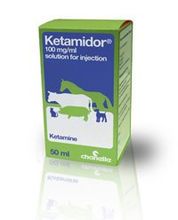 Chanelle has announced the launch of Ketamidor 100 mg/ml Solution for Injection, licensed for use in cats, dogs, horses, cattle and swine in the UK and Ireland. 