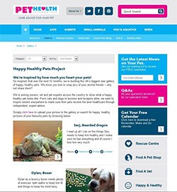 Pet best sale health websites