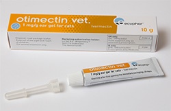 Ivermectin cats 2024