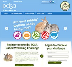 Burgess Excel and the PDSA are urging veterinary surgeons and nurses to get their clients to sign up to the free PDSA Rabbit Wellbeing Challenge by the closing date of Friday 22 November.