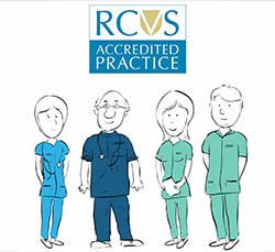 The RCVS has launched a new animated video to help promote Practice Standards Scheme (PSS)