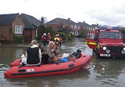 The RSPCA reports that it has saved nearly 400 animals from flooding, including 40 fish, in the last 3 days alone.  